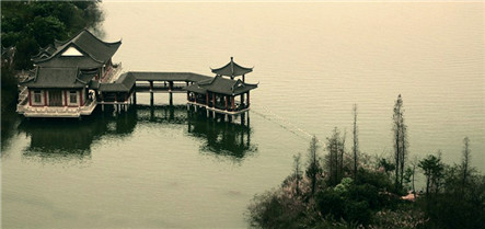 展示图片3